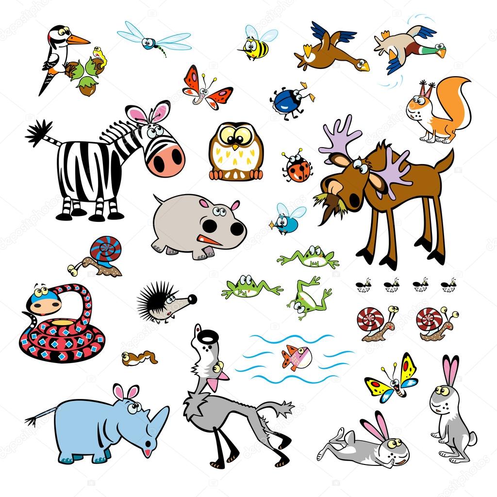 Cute Animals Cartoon Pictures