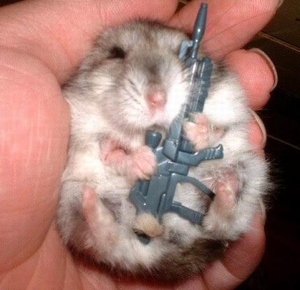 Cute Animals With Guns