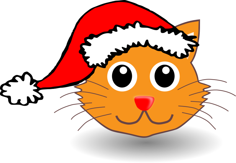 Cute Cartoon Santa Face