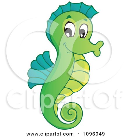 Cute Seahorse Pictures