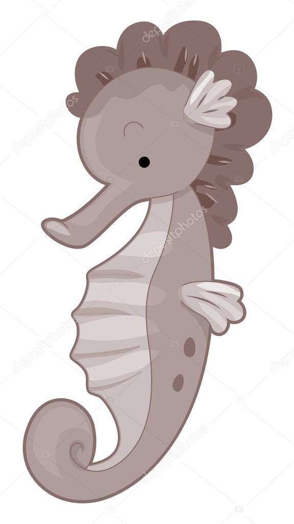 Cute Seahorse Pictures