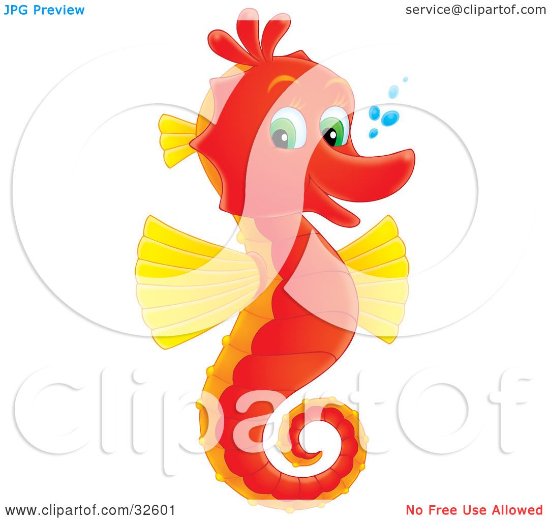 Cute Seahorse Pictures