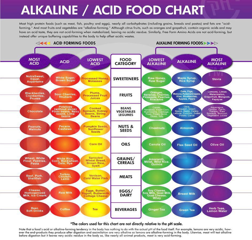 Daily Healthy Diet Chart