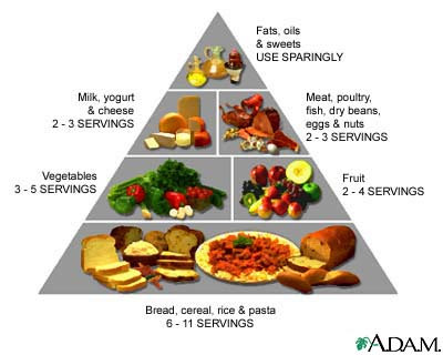 Daily Healthy Diet Chart