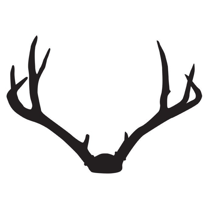 Deer Antlers