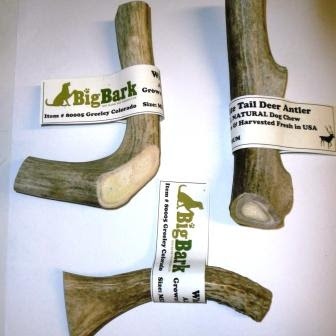 Deer Antlers For Dogs Safe