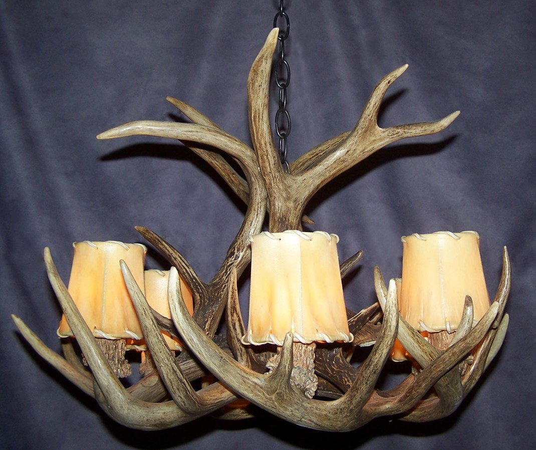 Deer Antlers For Sale Ebay