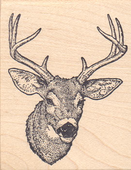 Deer Head