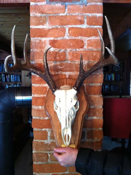 Deer Head Mounts Forms