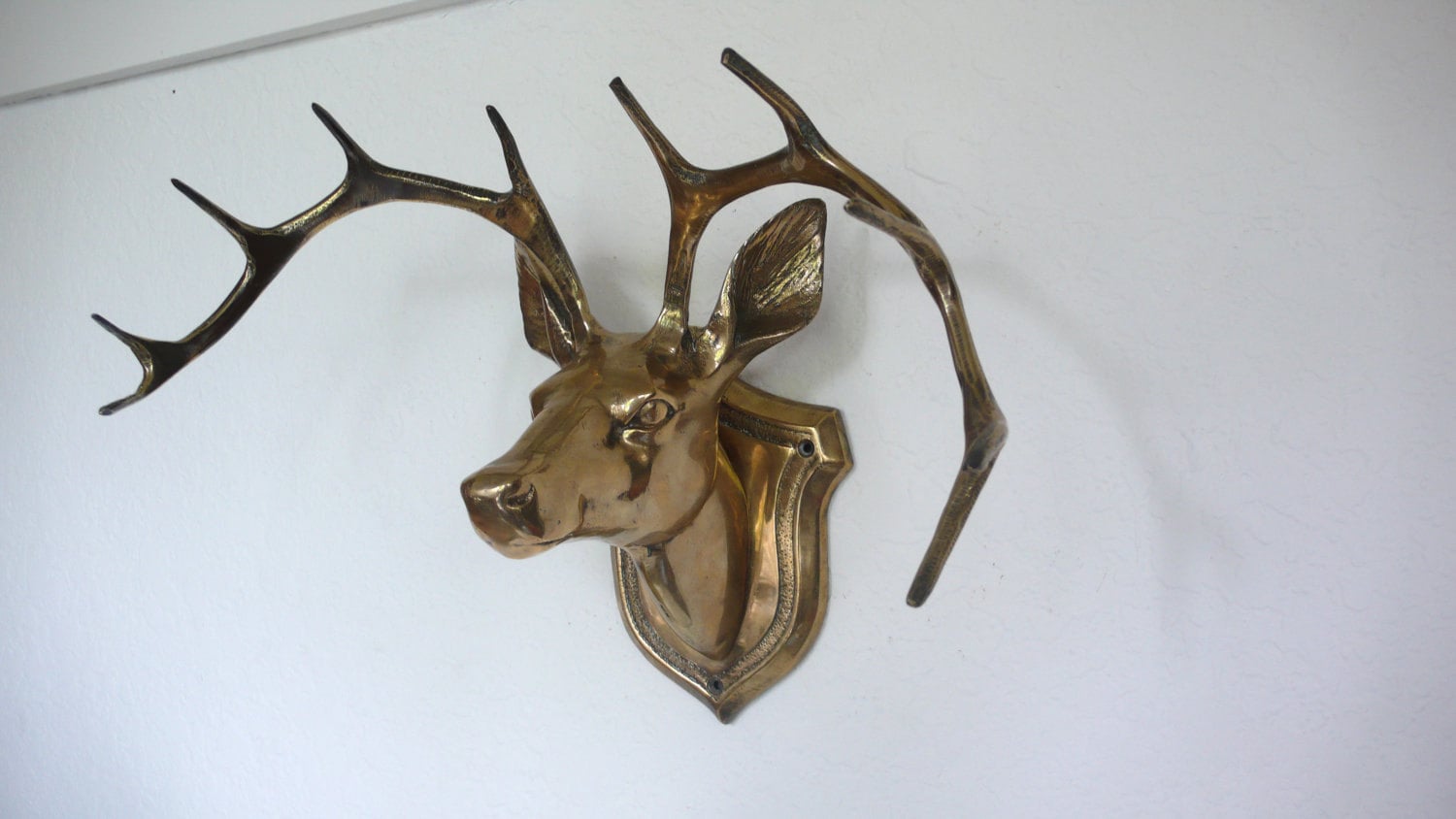 Deer Head Mounts Styles