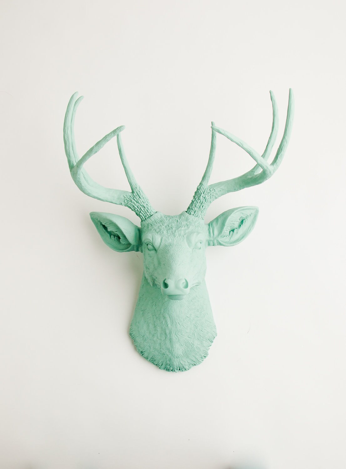 Deer Head Mounts Styles