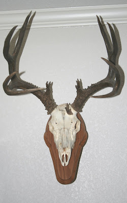 Deer Head Mounts Styles