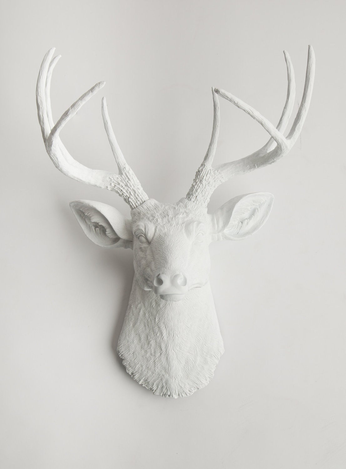 Deer Head Mounts Styles