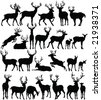 Deer Head Silhouette Vector