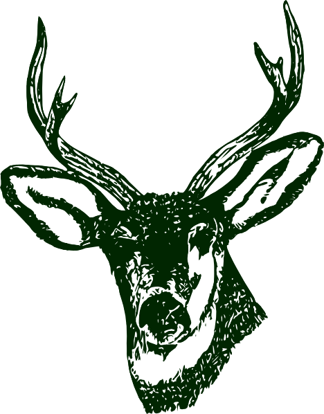 Deer Head Silhouette Vector