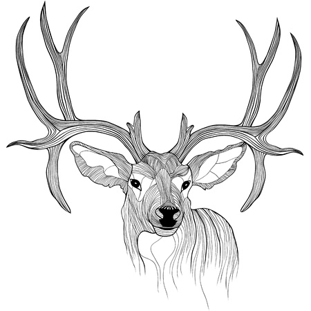 Deer Head Tattoo Designs