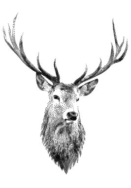 Deer Head Tattoo Designs