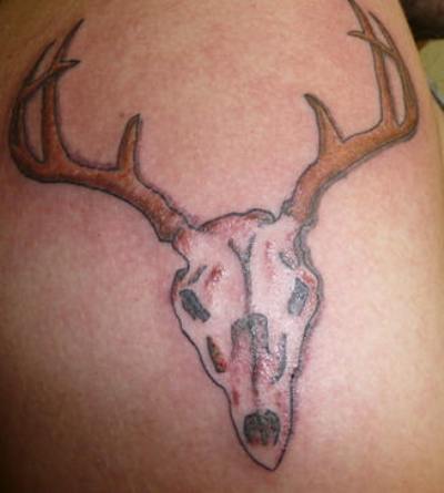 Deer Head Tattoo Designs