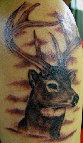 Deer Head Tattoo Designs