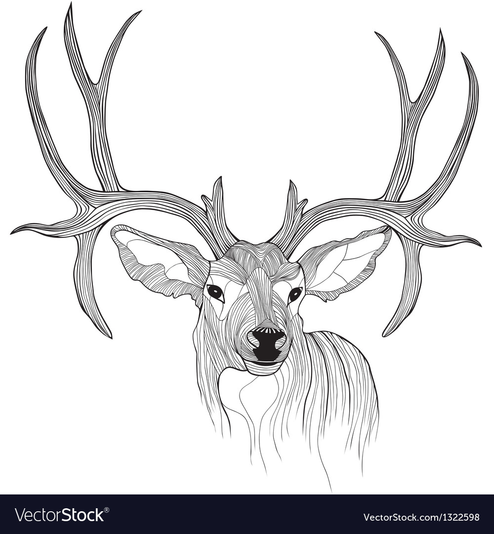 Deer Head Tattoo Pictures