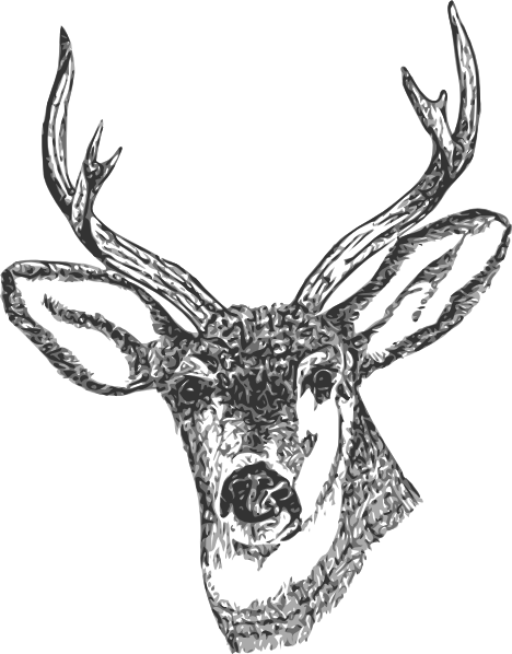 Deer Head Tattoo Pictures