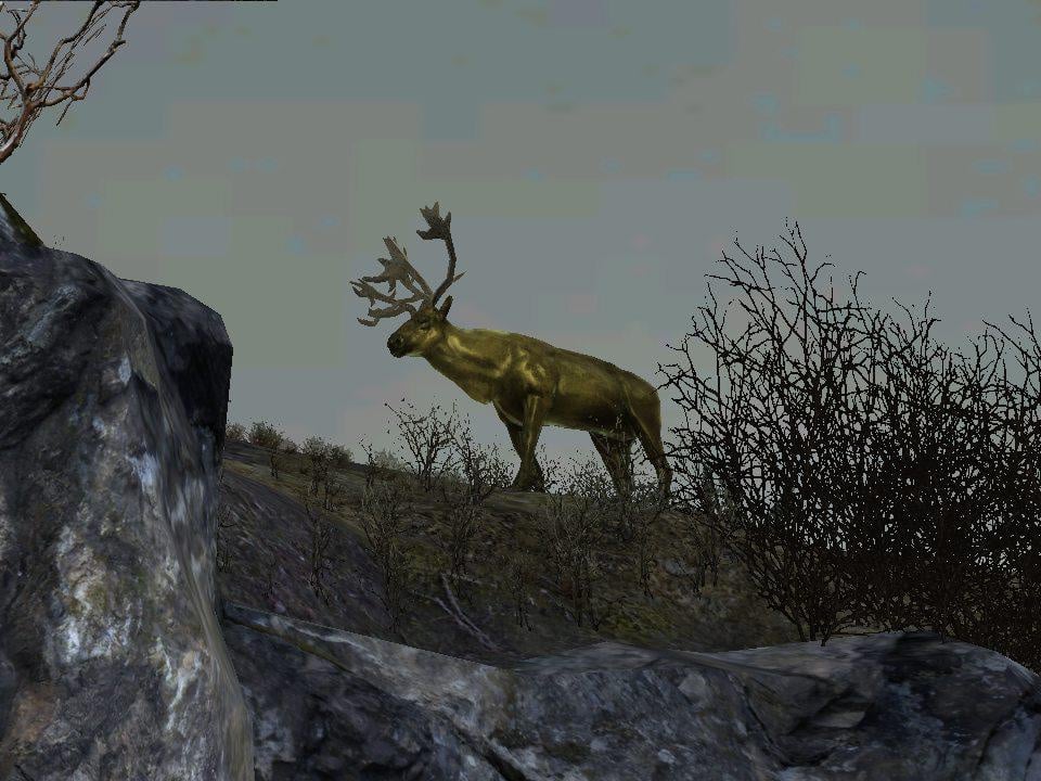 Deer Hunting Games For Ps3