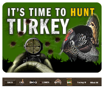 Deer Hunting Games Online