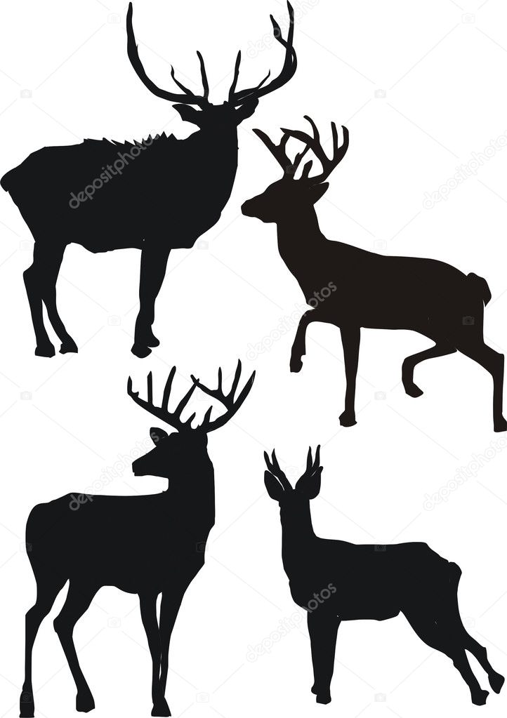 Deer Silhouette