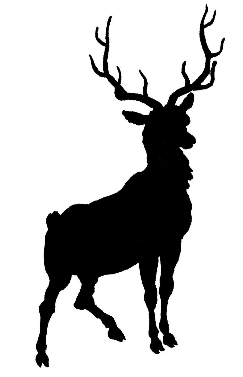 Deer Silhouette