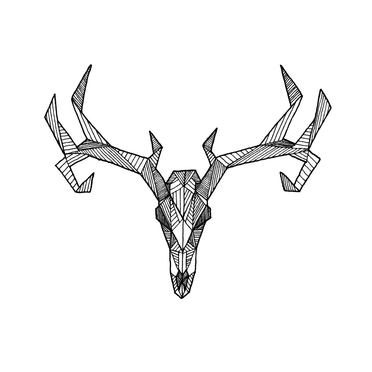 Deer Skull