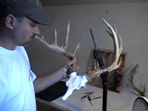 Deer Skull Mount Kit