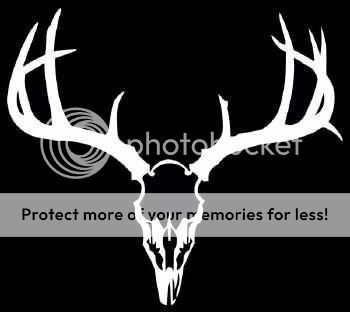 Deer Skull Wallpaper