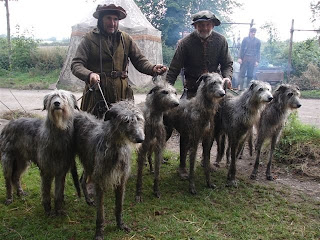 Deerhound Lurcher Rescue