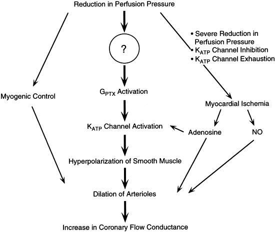 Defense Mechanisms Definition