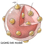 Democritus Atom Modeli