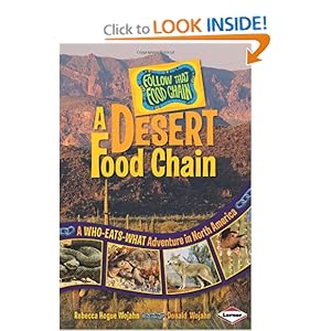 Desert Food Web Diagram For Kids