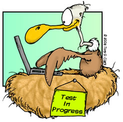 Developer Vs Tester