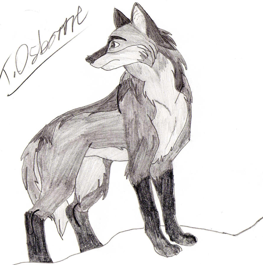 Deviantart Anime Wolves