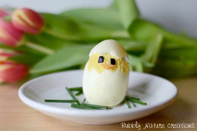 Deviled Eggs Recipe Chicks