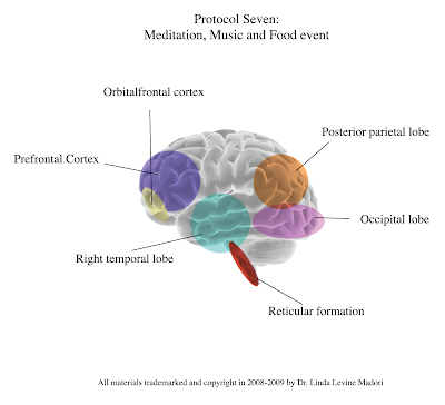 Different Regions Of The Brain