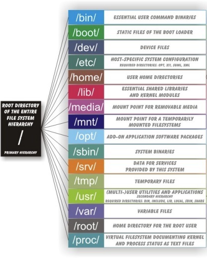 Directory Structure In Linux