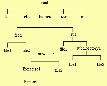 Directory Structure In Linux