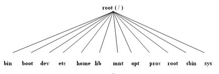 Directory Structure In Linux