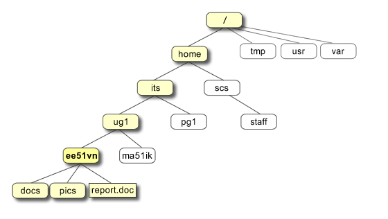 Directory Structure In Linux