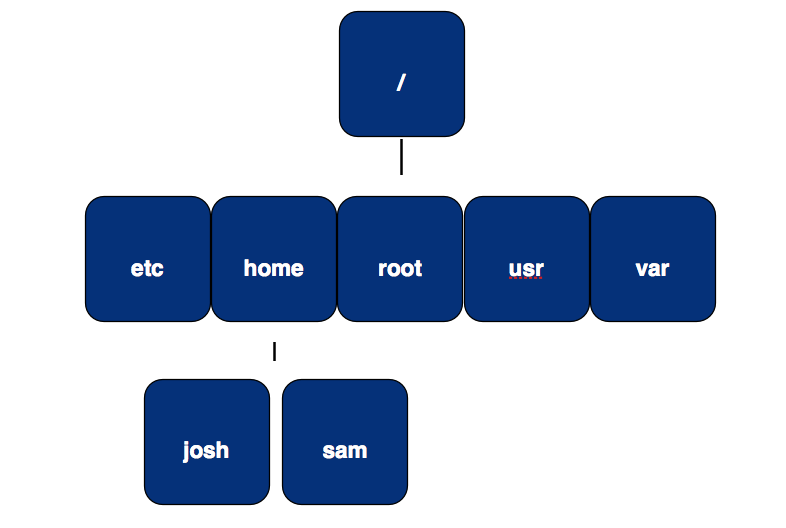 Directory Structure In Operating System