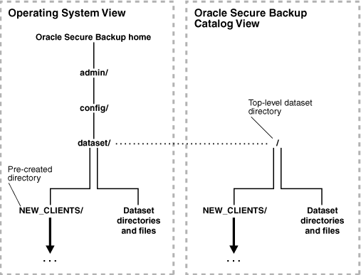 Directory Structure In Operating System