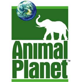 Discovery Channel Animals Full Episode