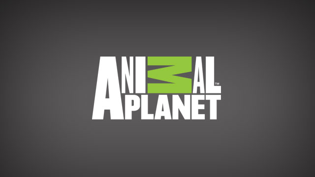 Discovery Channel Animals Full Episode