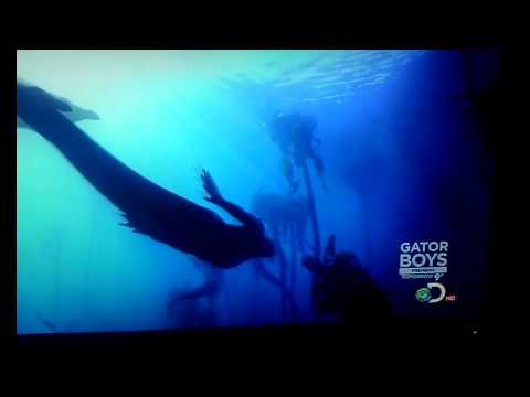 Discovery Channel Mermaids Documentary Full