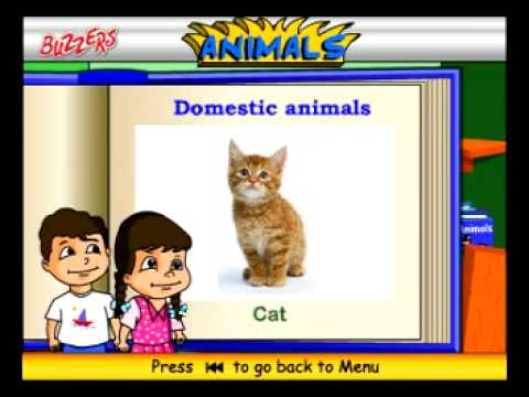 Domestic Animals Pictures For Kids